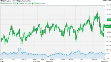 Nvidia Rally Chronology